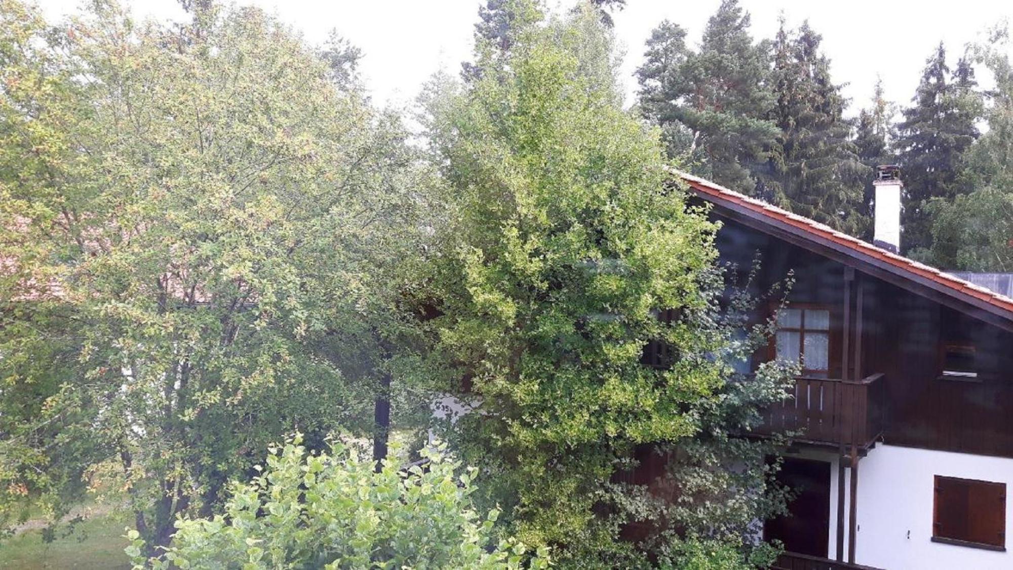 Ferienhaus Virzi - Waldferiendorf Regen Zewnętrze zdjęcie